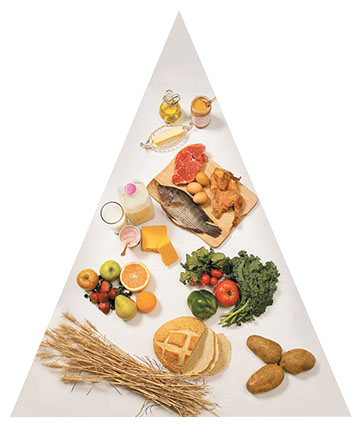 Food%20Pyramid